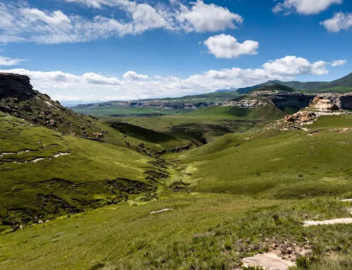 Top Things to Do Near Sefatsa Guesthouse in the Free State